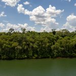 28 de julho – Dia Mundial da Conservação da Natureza